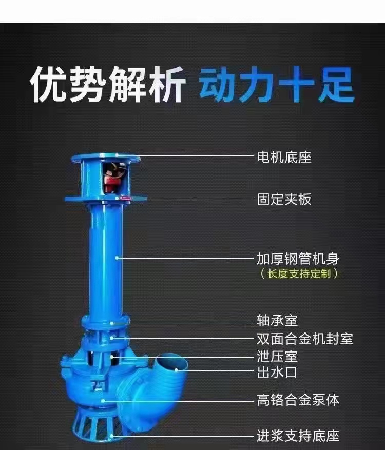 YZ型立式抽(chou)沙泵